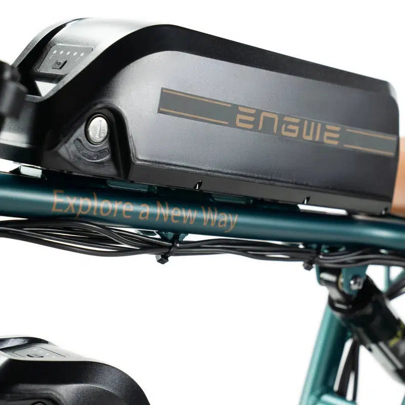 Combi-Deal! | ENGWE M20 - Dubbele Accu - Groen - fatbikeskopen.nl