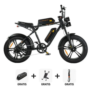 Combi-Deal! | ENGWE M20 Dubbele Accu - Zwart