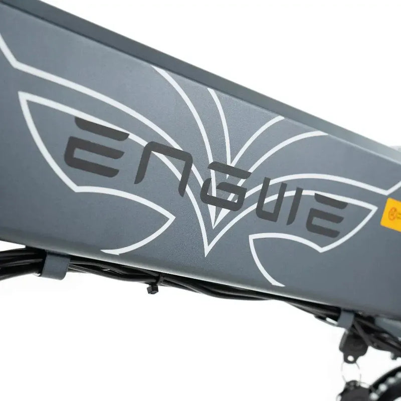 DUO Deal! | ENGWE EP 2 Pro - Grijs - fatbikeskopen.nl