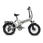 Diablo Storm - Grijs - fatbikeskopen.nl