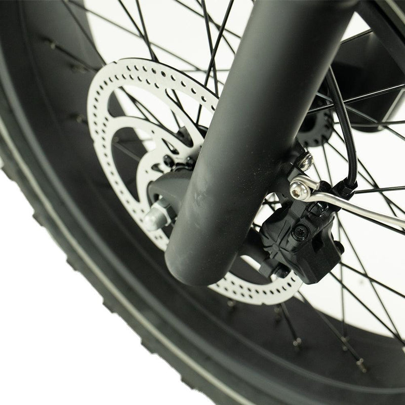 Diablo XR3 Special - Longtail - Groen - fatbikeskopen.nl