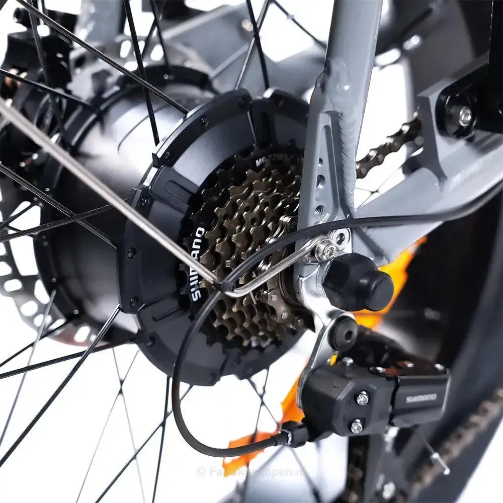 EB2 - Grijs - fatbikeskopen.nl