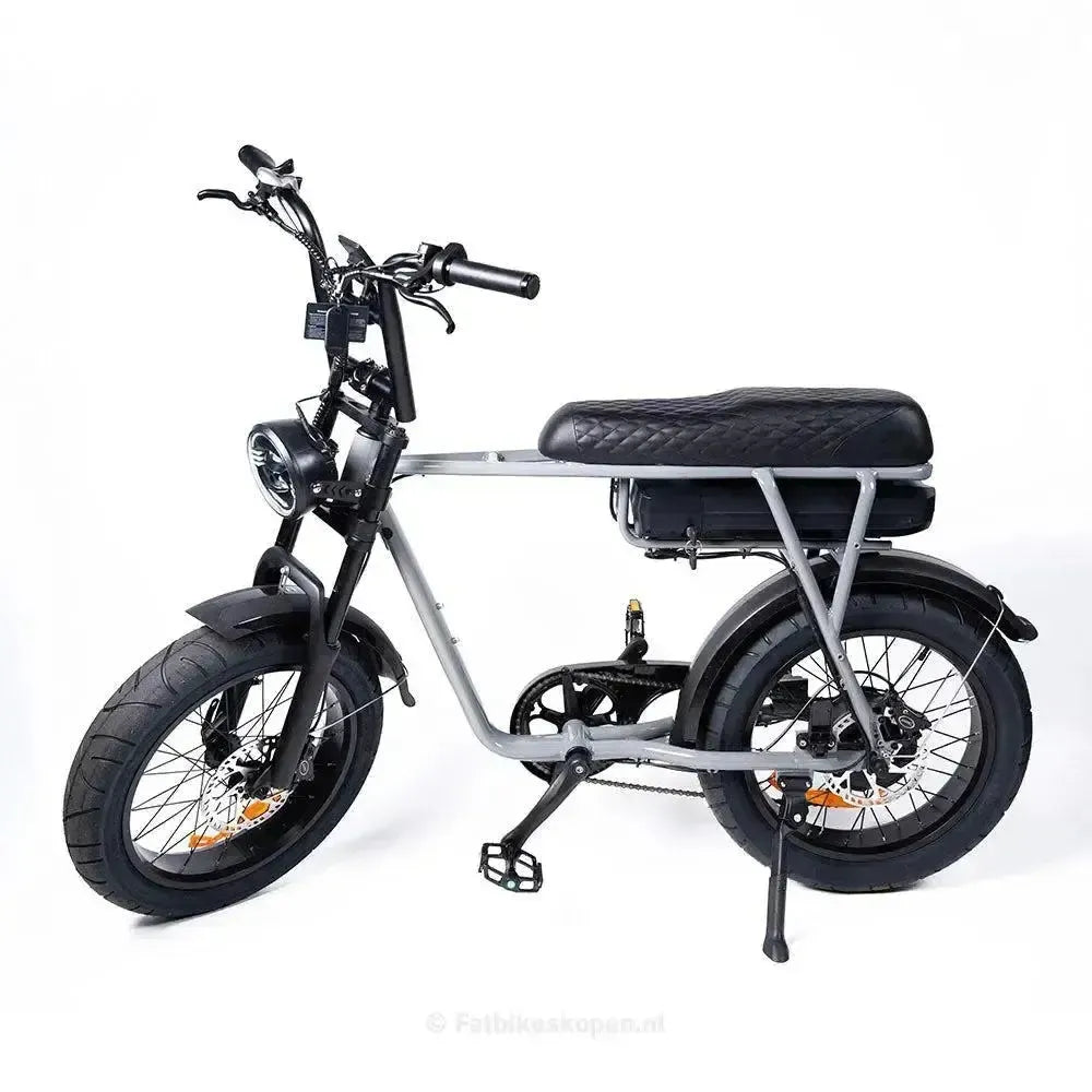 EB2 Pro - Grijs - fatbikeskopen.nl