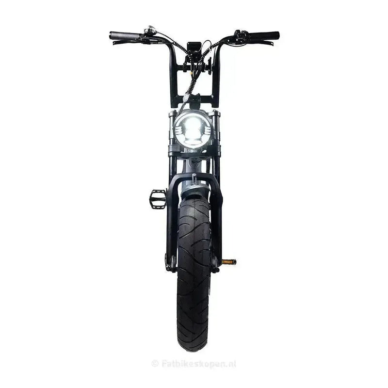 EB2 Pro - Grijs - fatbikeskopen.nl
