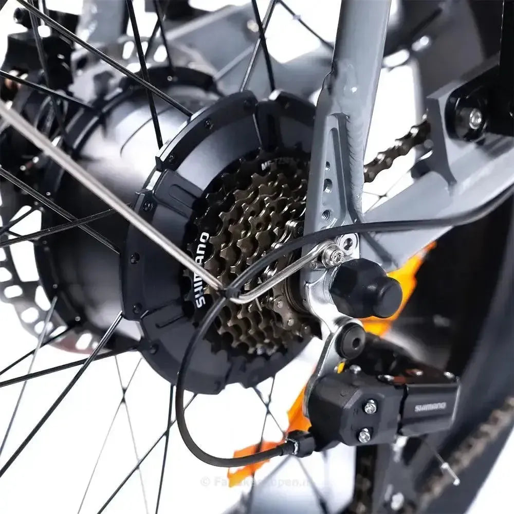 EB2 Pro - Grijs - fatbikeskopen.nl
