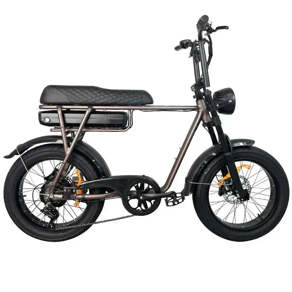 EB2 Pro - Koffie - fatbikeskopen.nl