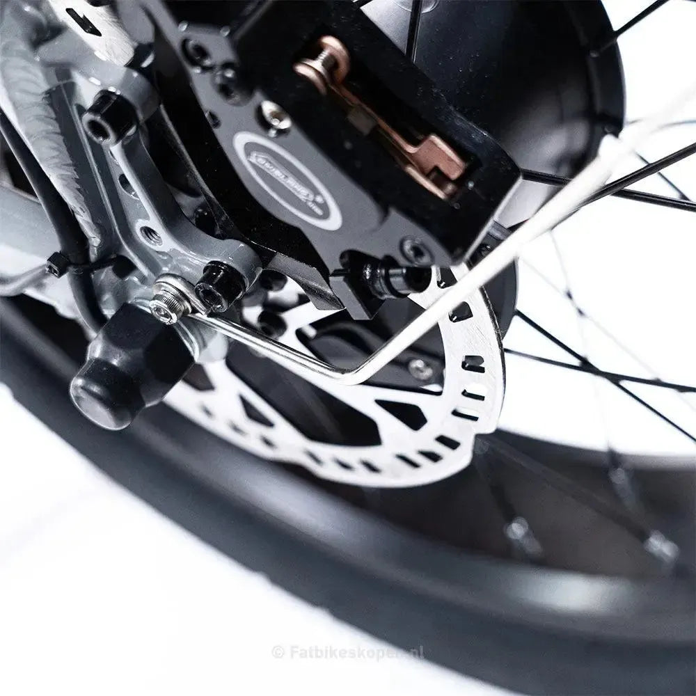 EB2 - Zilver - fatbikeskopen.nl