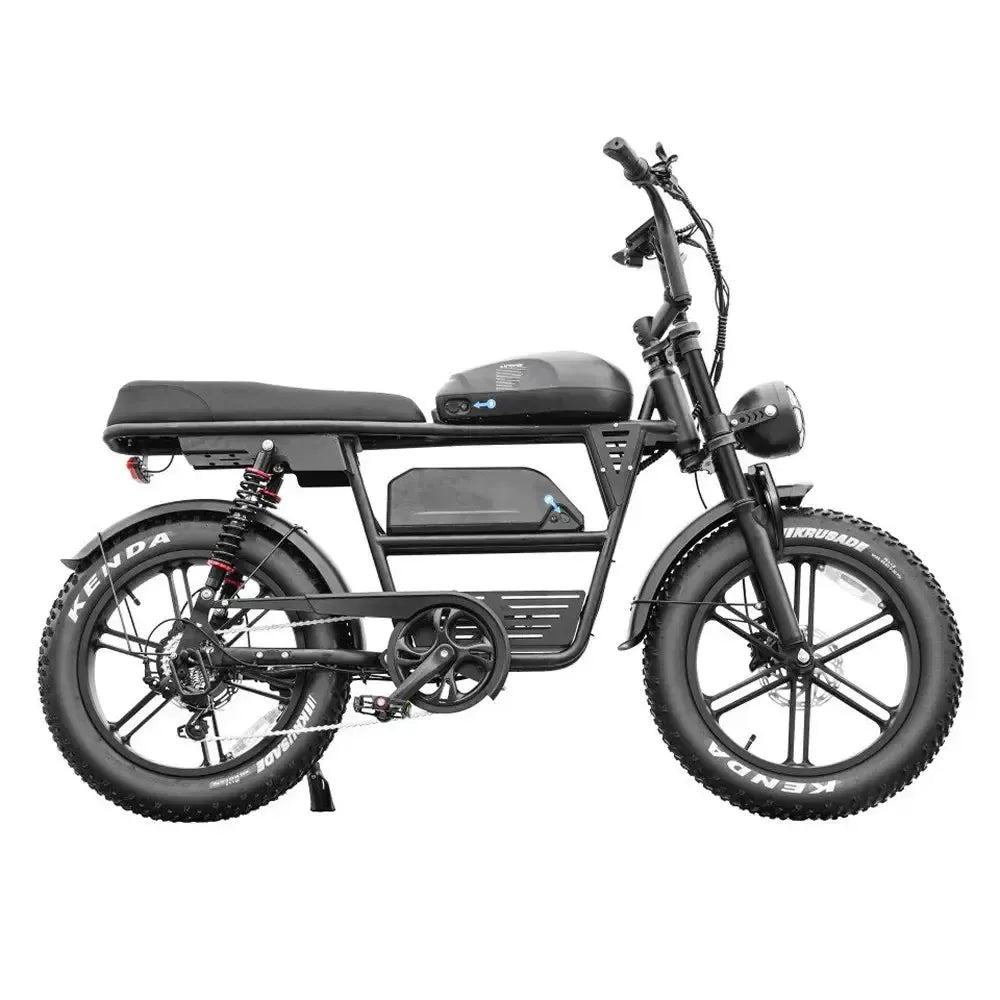 EB30 Dubbele Accu - Zwart - fatbikeskopen.nl
