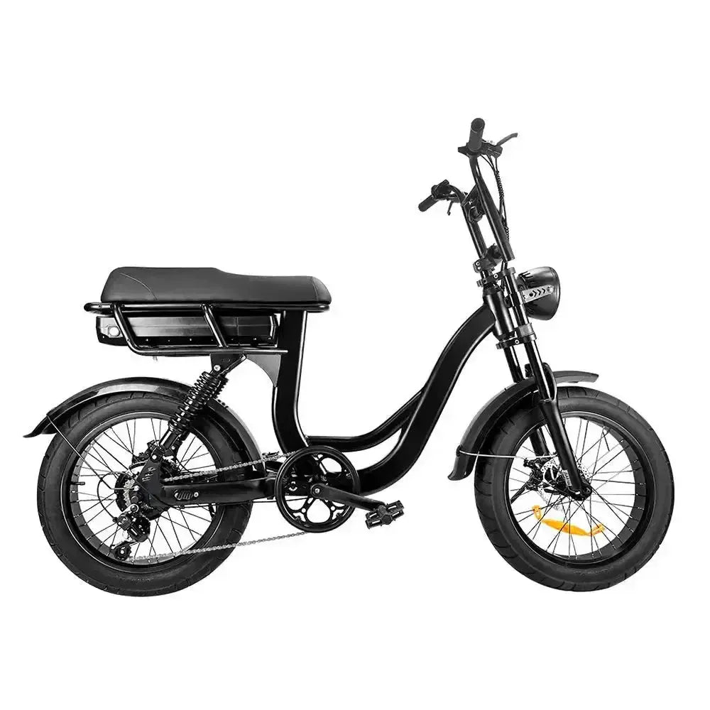 EB8 Pro - Zwart - fatbikeskopen.nl