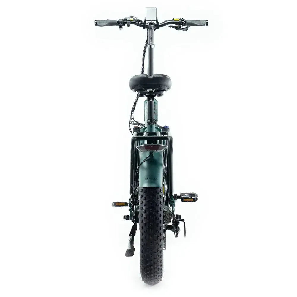 ENGWE Engine Pro 2.0 - Groen - fatbikeskopen.nl
