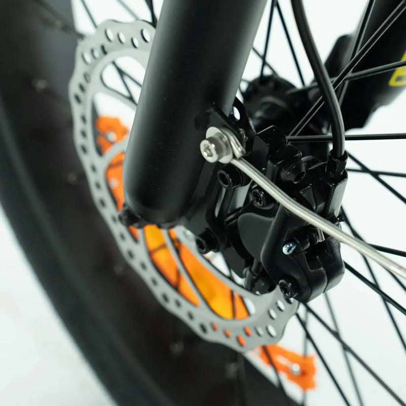 ENGWE L20 3.0 Boost - Champagne - fatbikeskopen.nl
