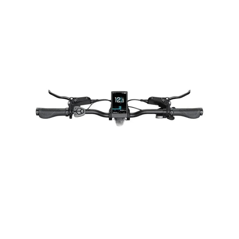 ENGWE L20 3.0 Pro - Champagne - fatbikeskopen.nl