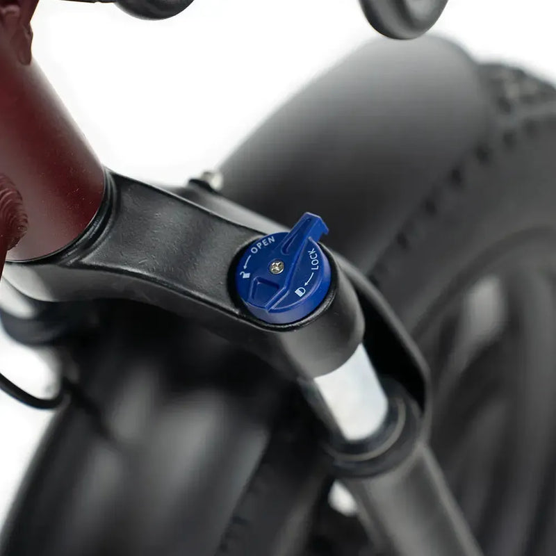 ENGWE L20 Boost - Rood - fatbikeskopen.nl