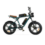 ENGWE M20 - Dubbele Accu - Groen - fatbikeskopen.nl