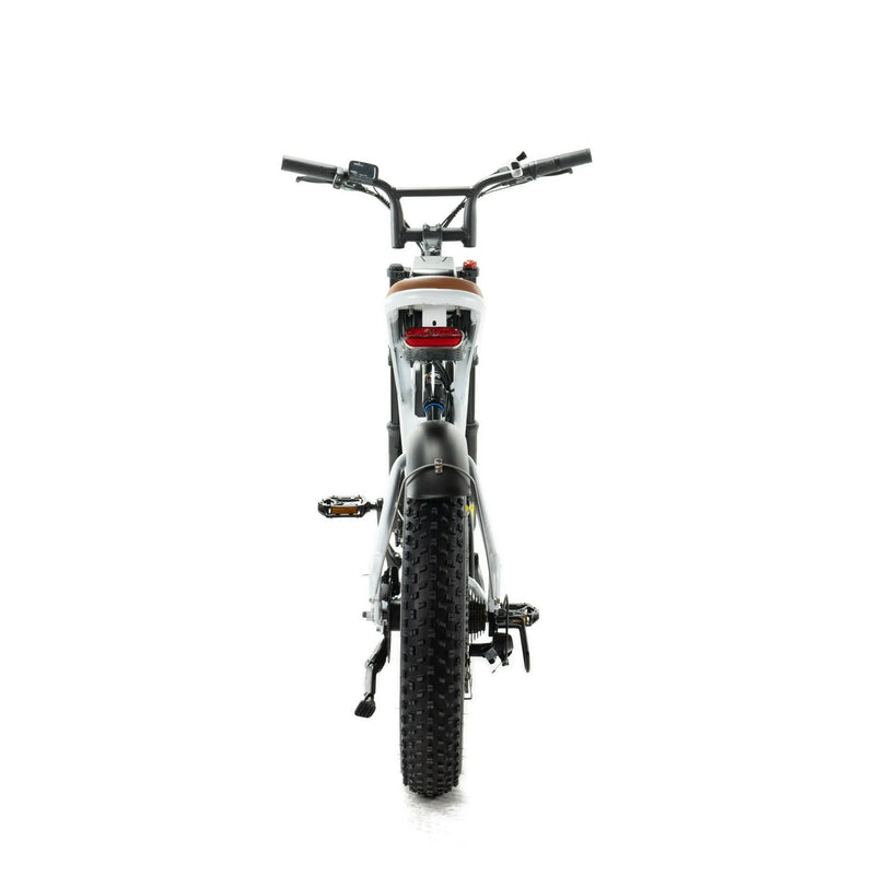 ENGWE M20 - Dubbele Accu - Wit - fatbikeskopen.nl