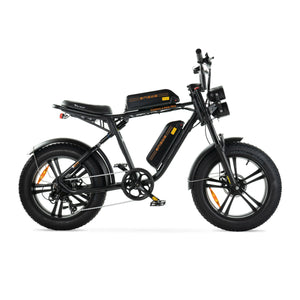 ENGWE M20 - Dubbele Accu - Zwart