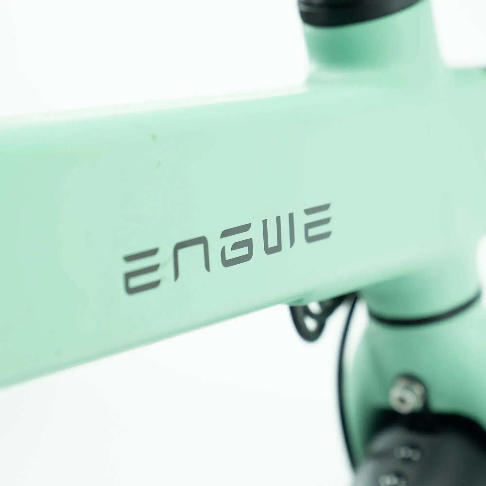 ENGWE P20 - Groen - fatbikeskopen.nl