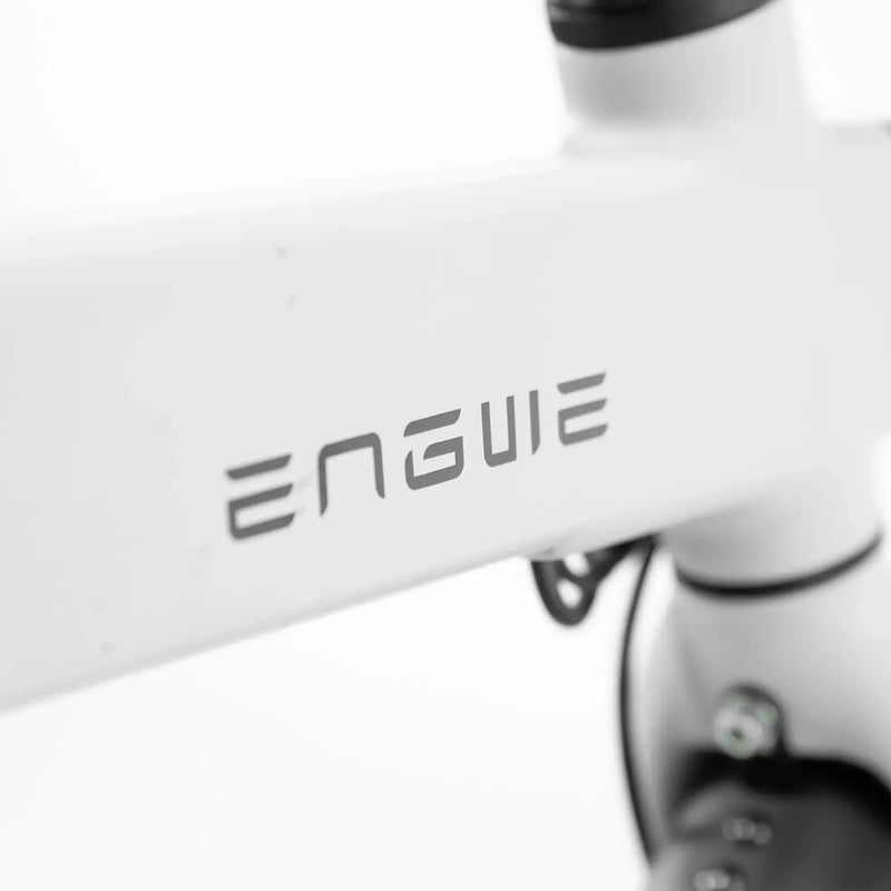 ENGWE P20 - Zwart - fatbikeskopen.nl