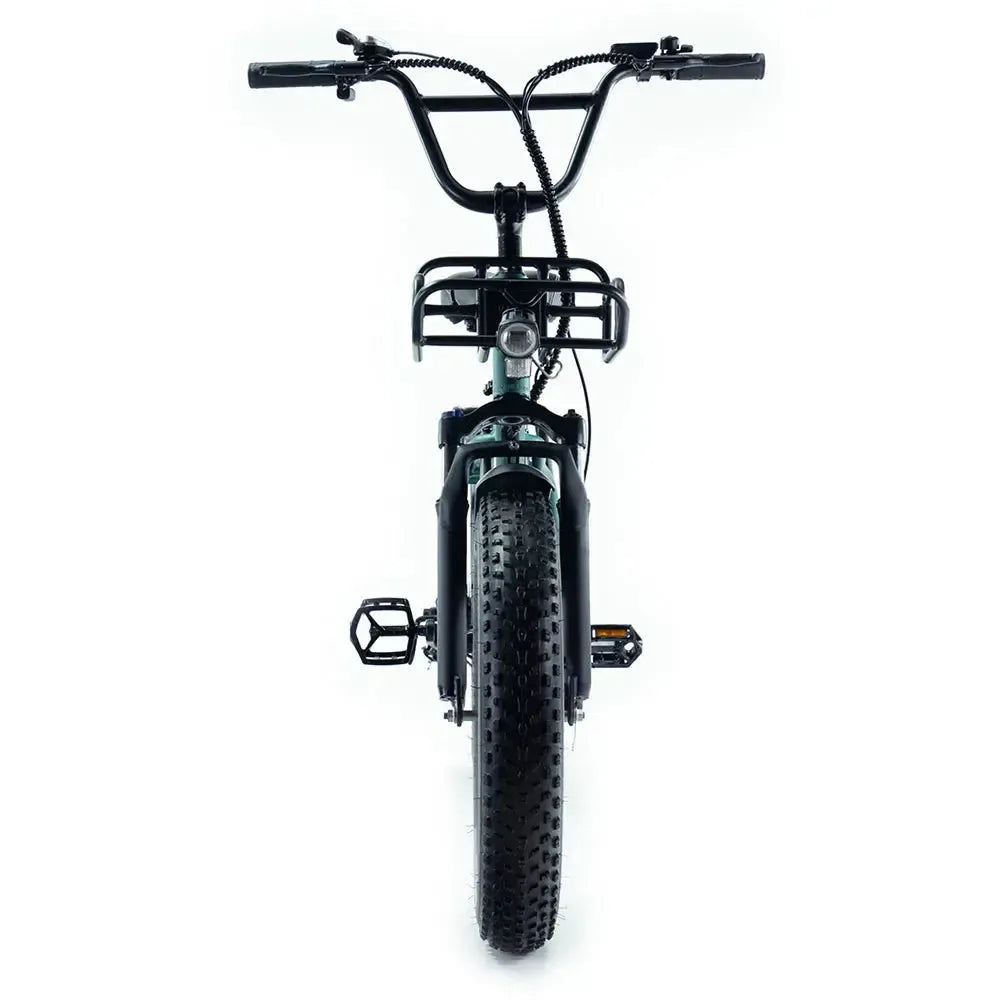 Family-Deal! | ENGWE L20 Boost - Groen - fatbikeskopen.nl