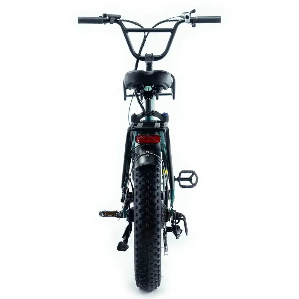 Family-Deal! | ENGWE L20 Boost - Groen - fatbikeskopen.nl