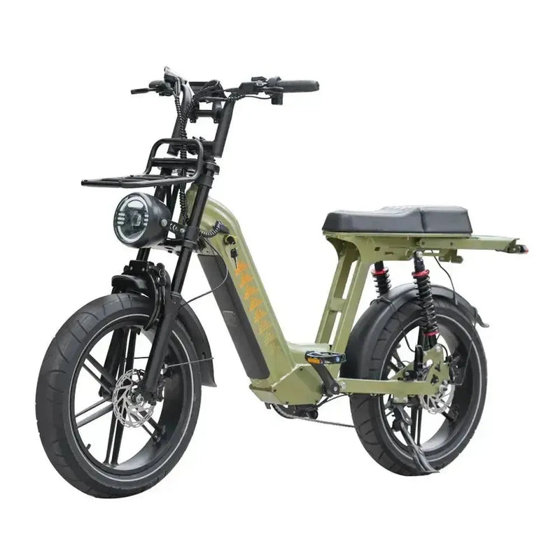 Family-Deal! | V20 Comfort Pro - Groen - fatbikeskopen.nl