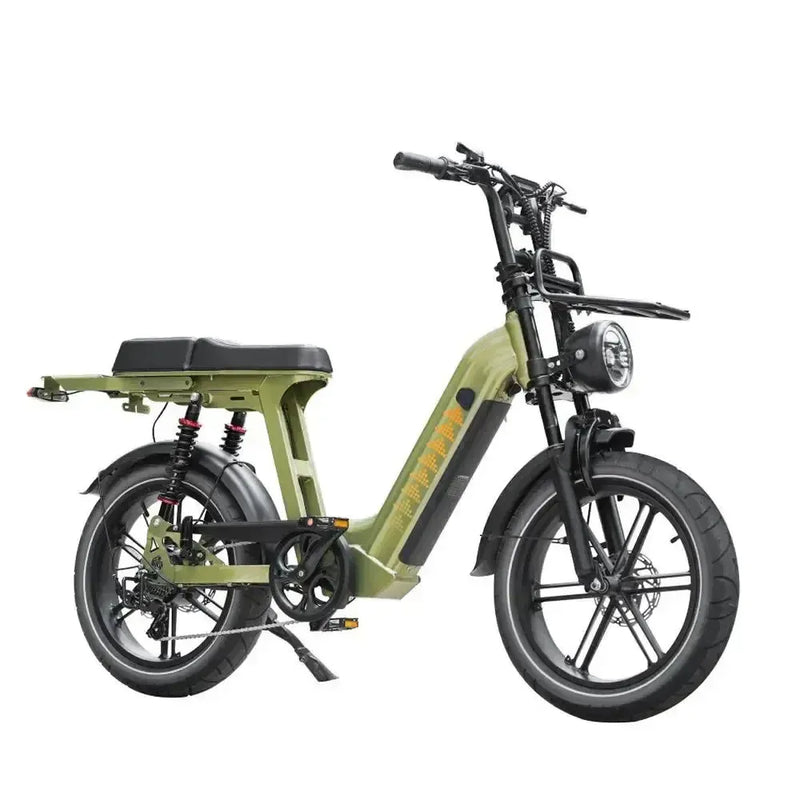 Family-Deal! | V20 Comfort Pro - Groen - fatbikeskopen.nl