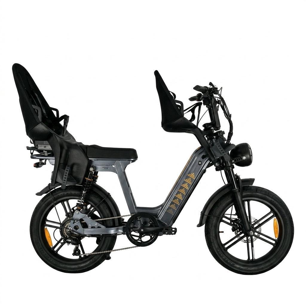 Family-Deal! | V20 Comfort Pro - Nardo Grey - fatbikeskopen.nl