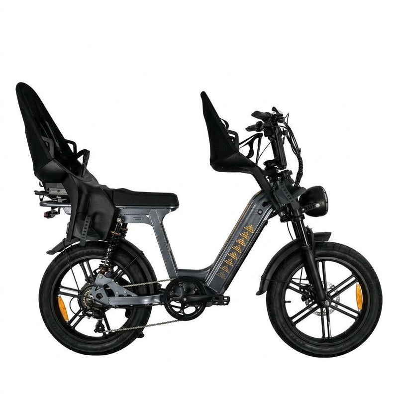 Family-Deal! | V20 Comfort Pro - Nardo Grey - fatbikeskopen.nl