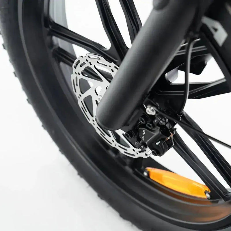 Family Deal! | V20 Pro - Zwart - fatbikeskopen.nl
