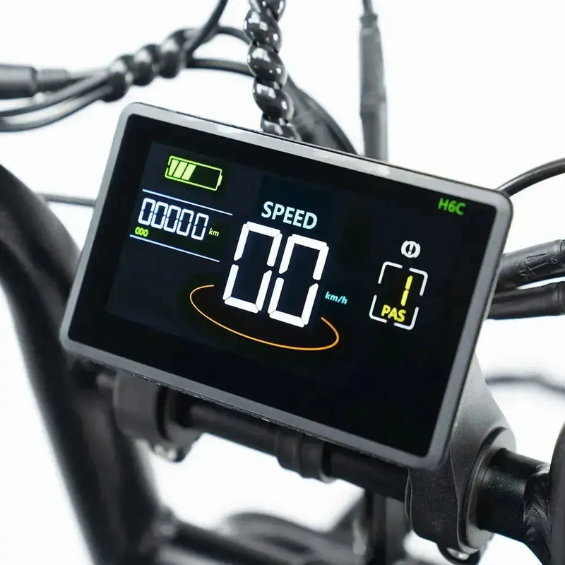 Family Deal! | V20 Pro - Zwart - fatbikeskopen.nl