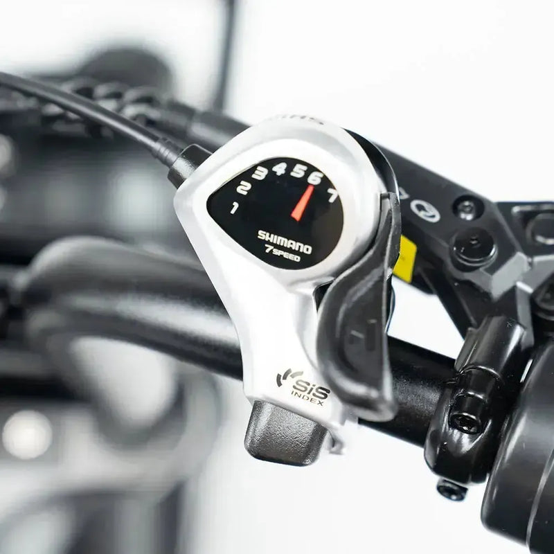 Family Deal! | V20 Pro - Zwart - fatbikeskopen.nl