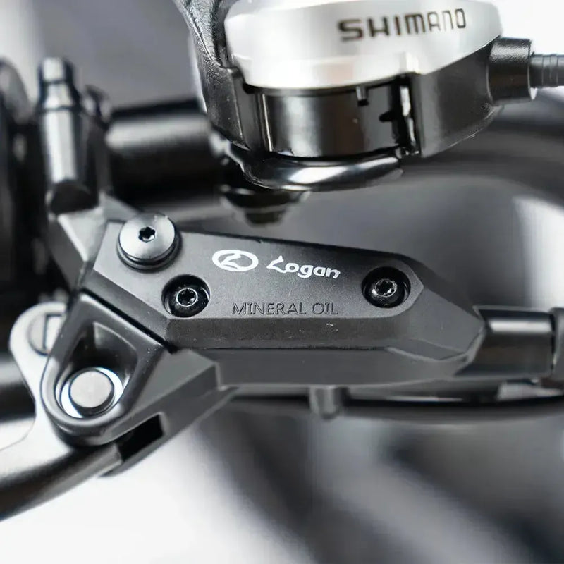 Family Deal! | V20 Pro - Zwart - fatbikeskopen.nl