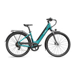 Fiido C11 - Blauw - fatbikeskopen.nl
