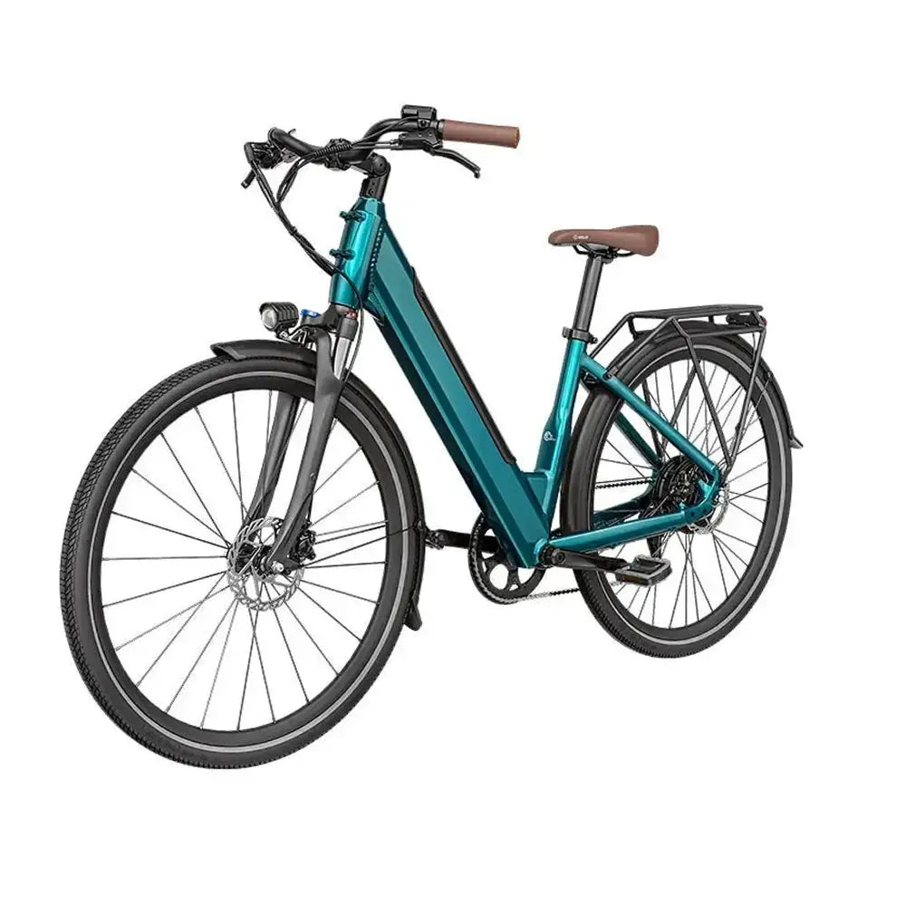 Fiido C11 Pro - Groen - fatbikeskopen.nl
