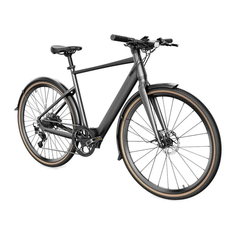 Fiido C21 - Grijs - fatbikeskopen.nl
