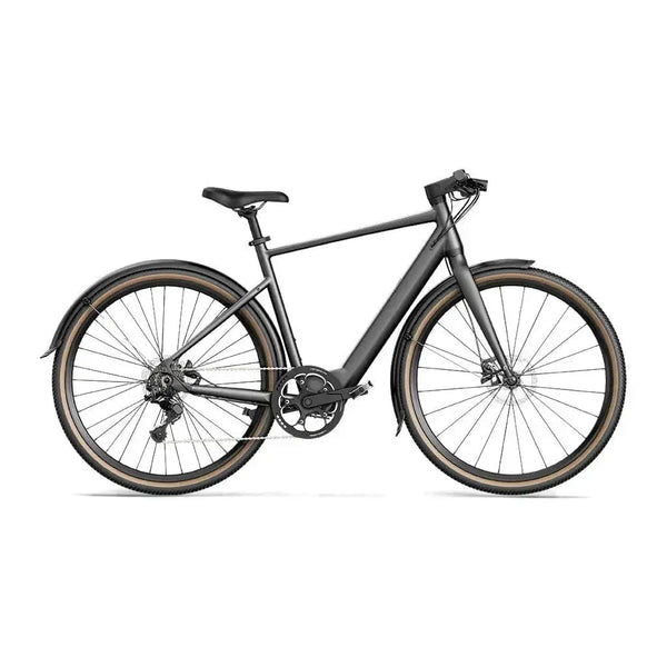 Fiido C21 - Grijs - fatbikeskopen.nl