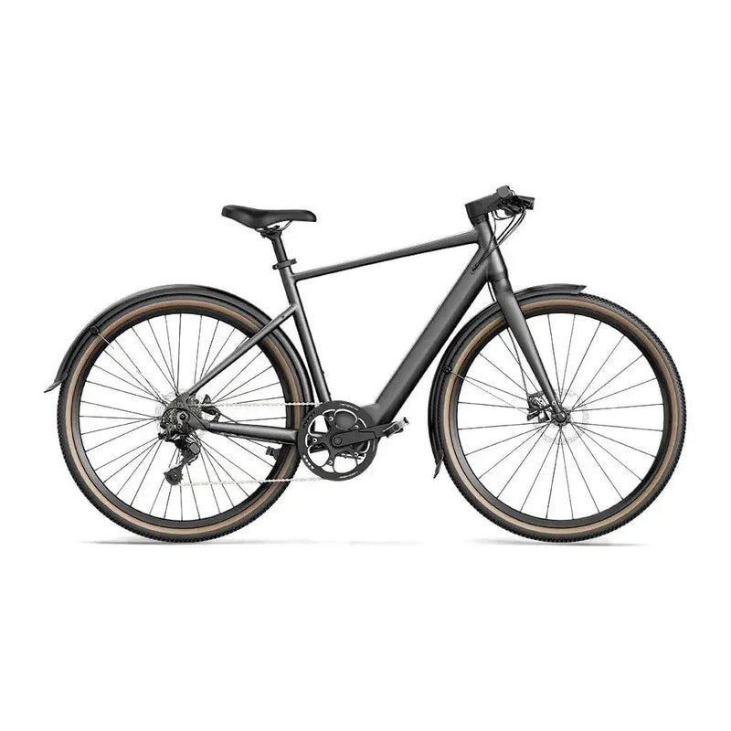 Fiido C21 - Grijs - fatbikeskopen.nl