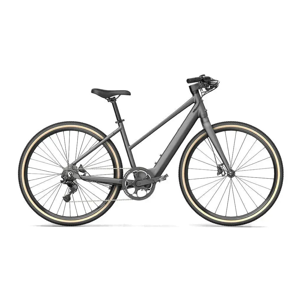 Fiido C22 - Grijs - fatbikeskopen.nl