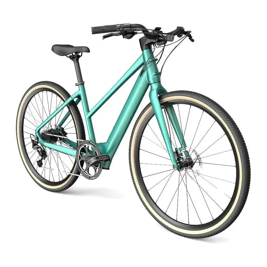 Fiido C22 - Groen - fatbikeskopen.nl