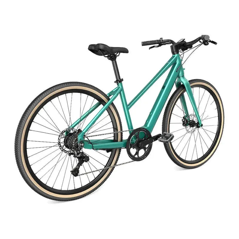 Fiido C22 - Groen - fatbikeskopen.nl