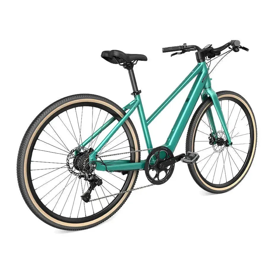 Fiido C22 - Groen - fatbikeskopen.nl