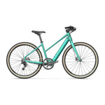 Fiido C22 - Groen - fatbikeskopen.nl