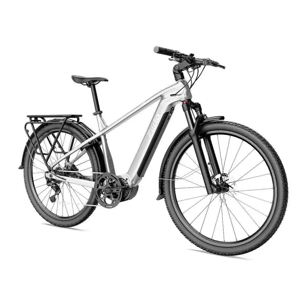 Fiido Nomads Pro - Grijs - fatbikeskopen.nl