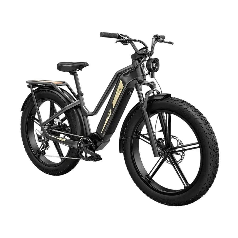 Fiido Titan - Zwart - fatbikeskopen.nl