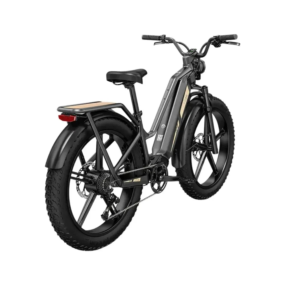 Fiido Titan - Zwart - fatbikeskopen.nl