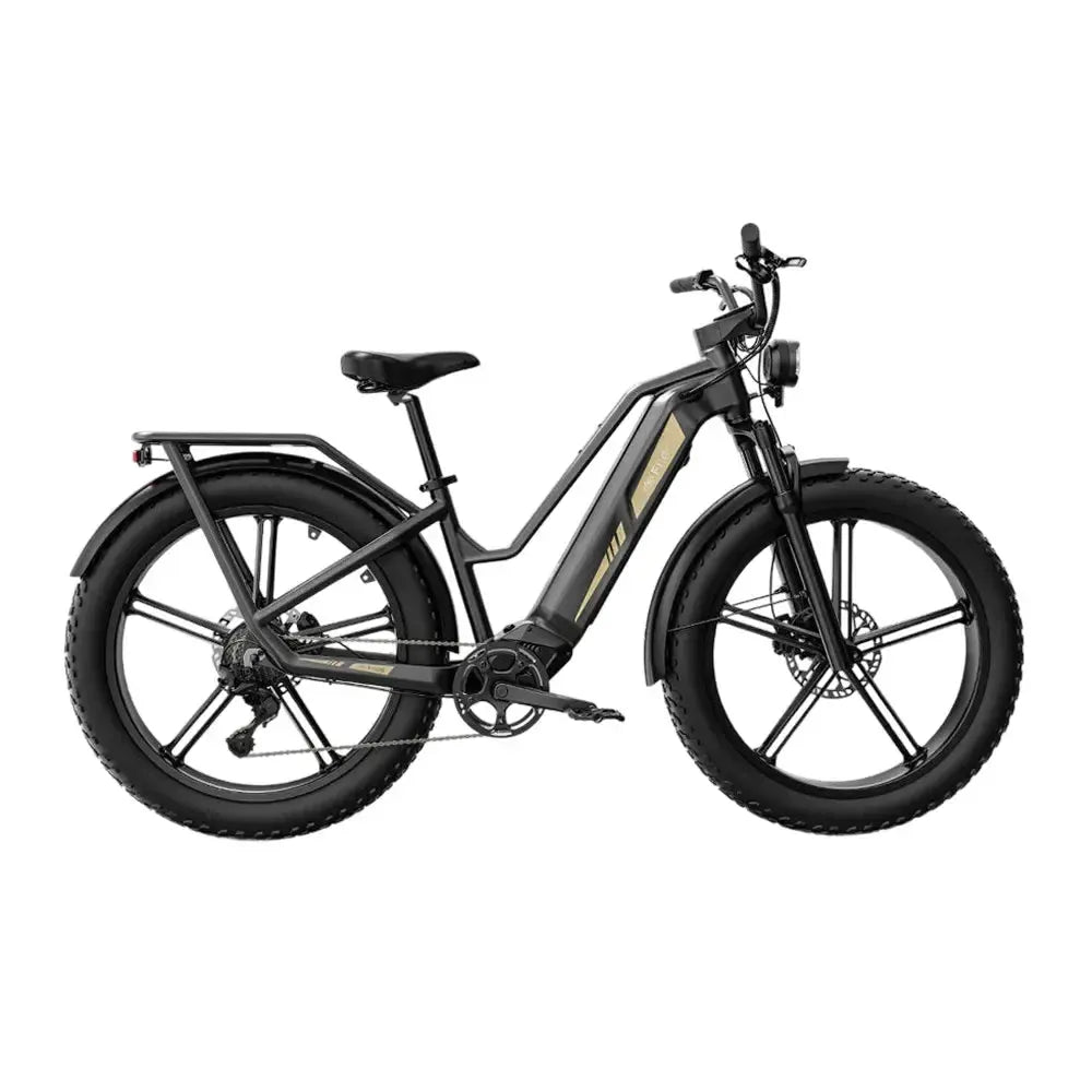 Fiido Titan - Zwart - fatbikeskopen.nl