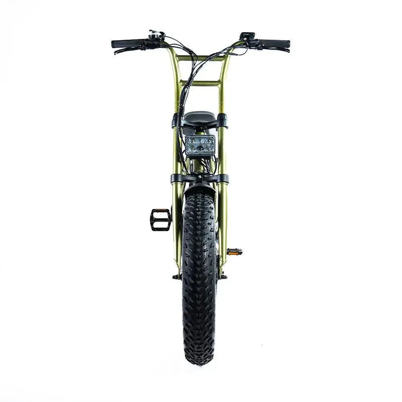 Grandeux Xplore - Groen - fatbikeskopen.nl