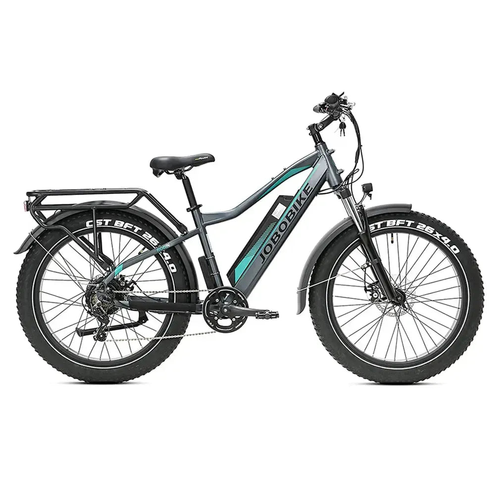 JOBOBIKE Robin - Grijs/Groen - fatbikeskopen.nl
