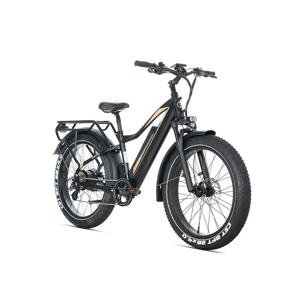 JOBOBIKE Robin Pro - Zwart-goud - fatbikeskopen.nl