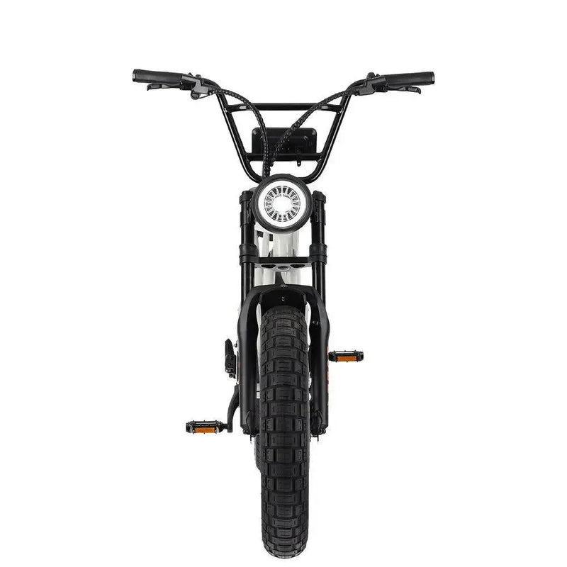 KOBRA V1.2 - Chalk - fatbikeskopen.nl